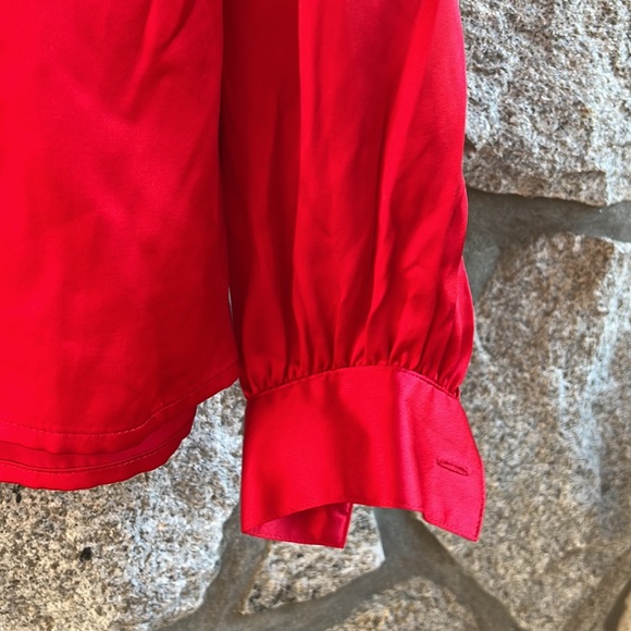 Argenti 100% silk button down blouse - Picture 5 of 7